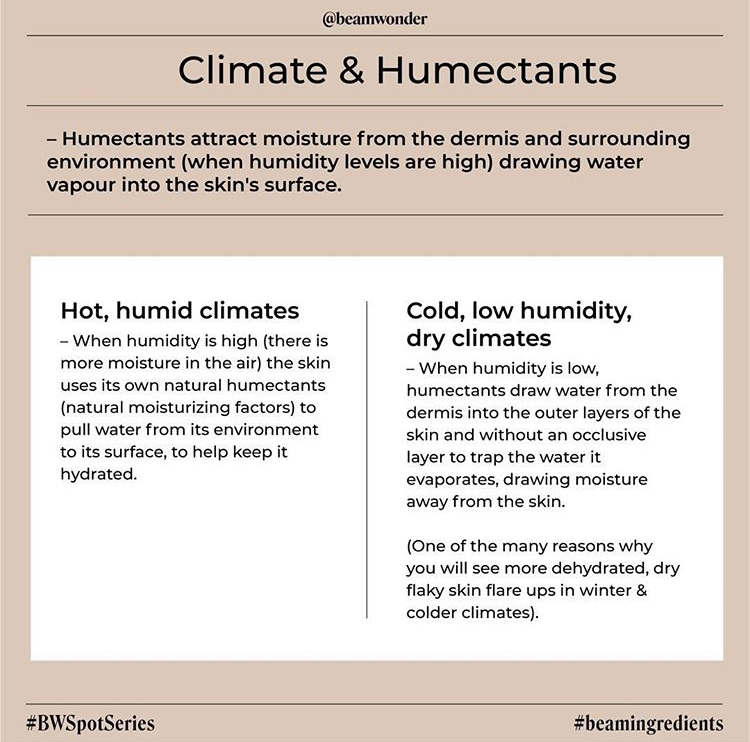 Skin ingredients for Winter Part 1: Climate and Humectants